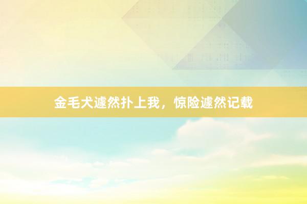 金毛犬遽然扑上我,惊险遽然记载