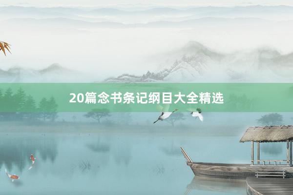20篇念书条记纲目大全精选